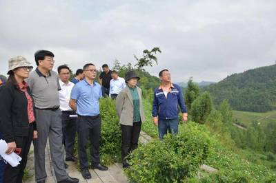 楊永英率隊赴黔西南州開展《固體廢物污染環(huán)境防治法》執(zhí)法檢查并召開座談會